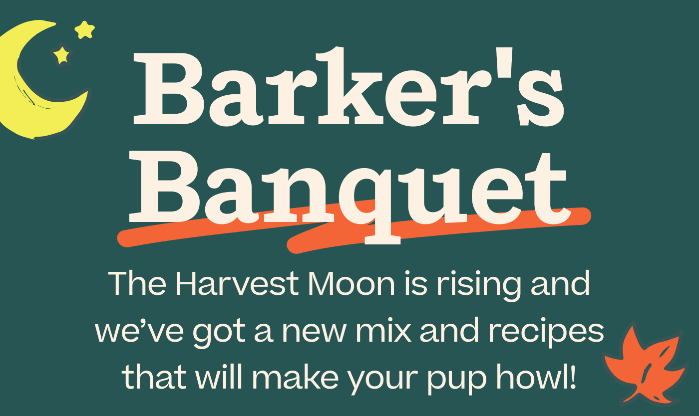 Barker's Banquet.  The Harvest Moon is rising and we've got recipes that will make your pup howl!
