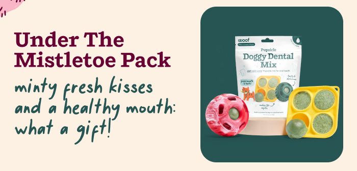 Gift's Under $75 | Under the Mistletoe Pack: minty fresh kisses and a healthy mouth: what a gift! 