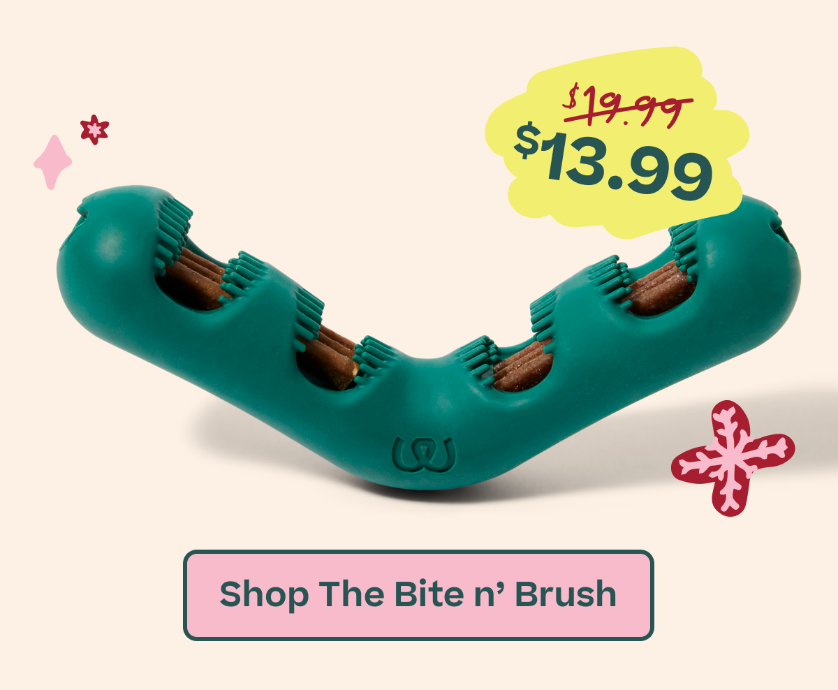 Woof | Shop the Bite n' Brush - Up to 30% Off!