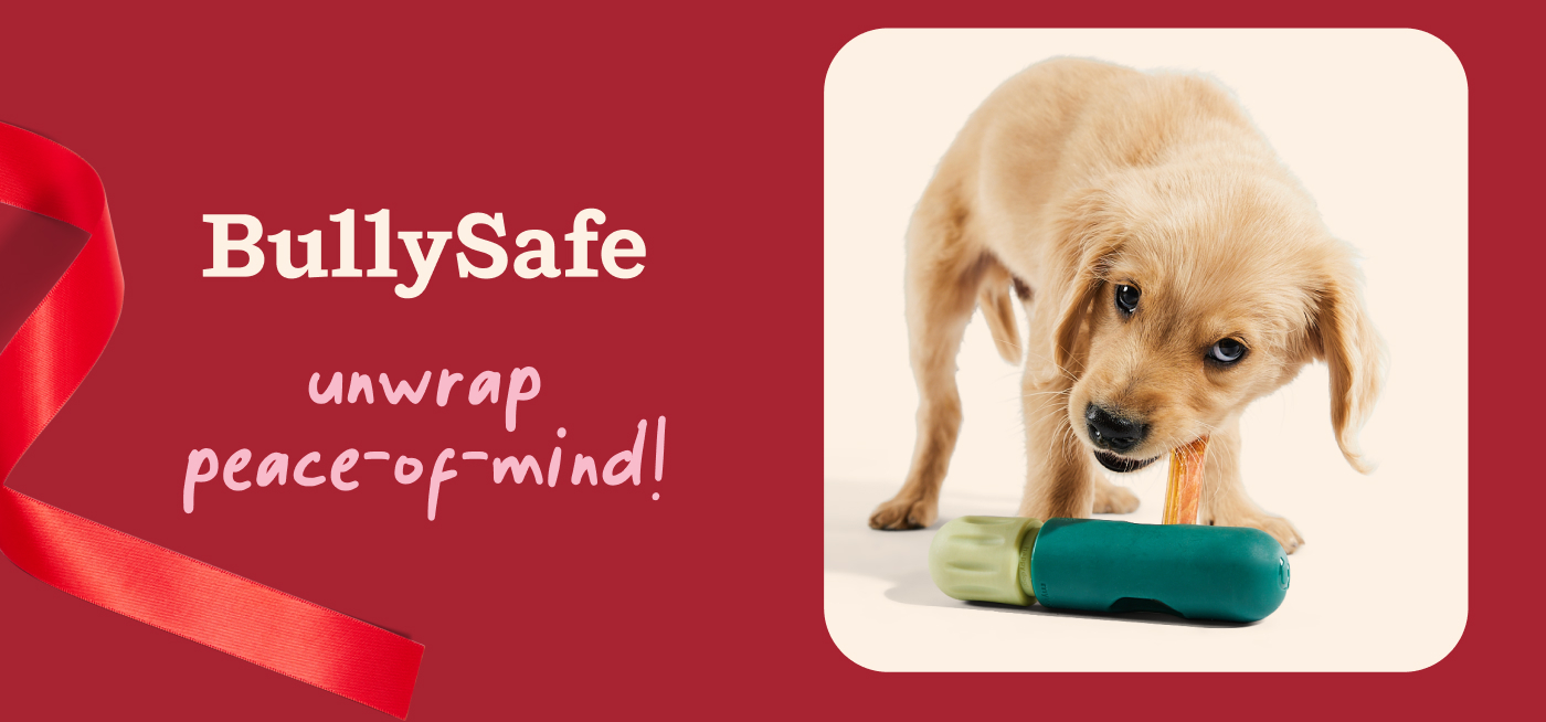 Bullysafe: unwrap peace of mind!
