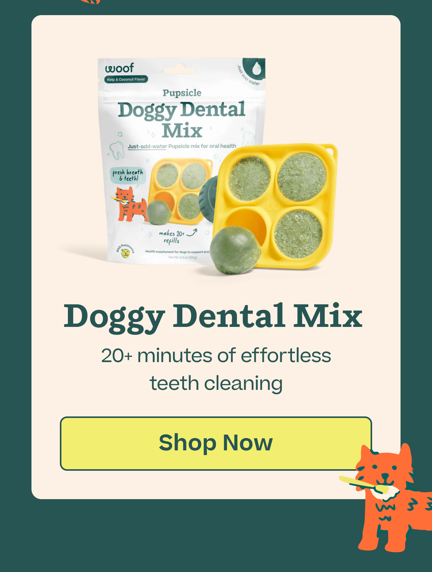 Doggy Dental Mix: 20+ minutes of effortless teeth cleaning