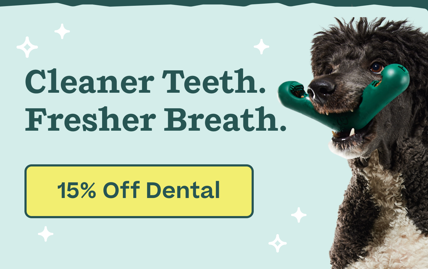 Cleaner teeth. Fresher breath.  |  15% Off Dental
