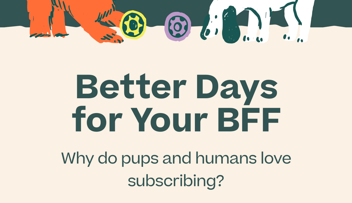 Better Days for Your BFF Why do pups and humans love subscribing?
