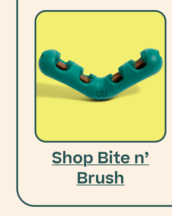 Shop Bite n' Brush