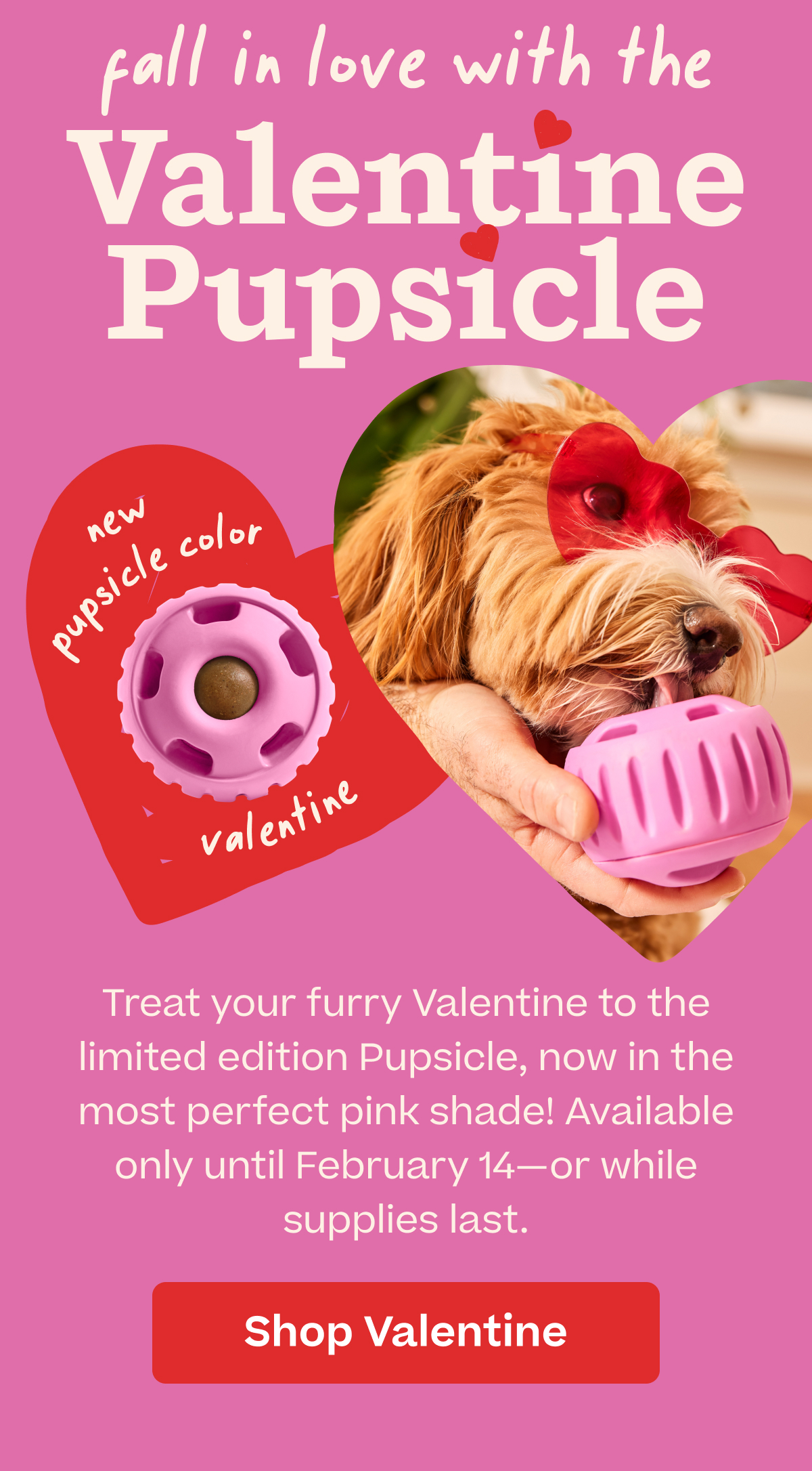 Fall in love with the Valentine Pupsicle | Get Yours Now!