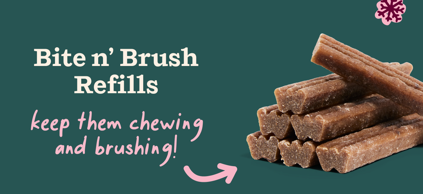 Bite n' Brush Refills: Keep them chewing and brushing!