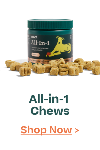 Woof | All-in-1 Chews