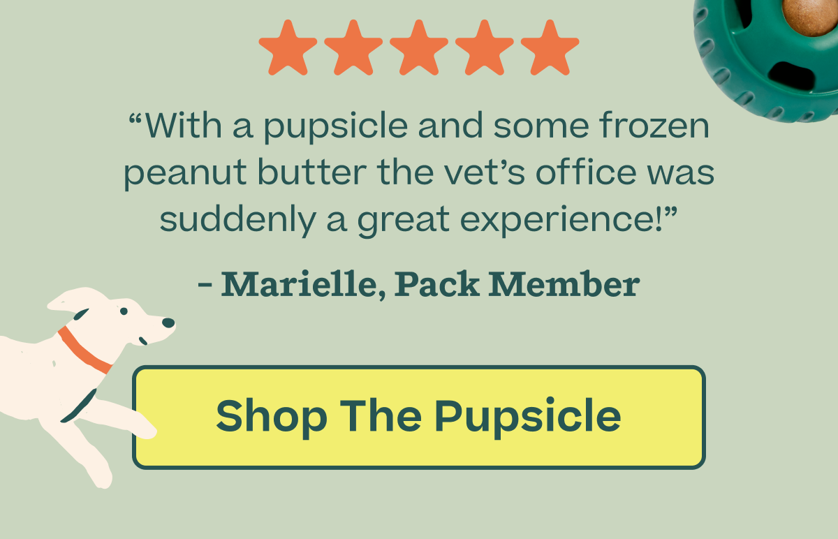 "With the Pupsicle and some frozen peanut butter the vet's office was suddenly a great experience." | Shop the Pupsicle