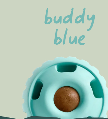 Buddy Blue