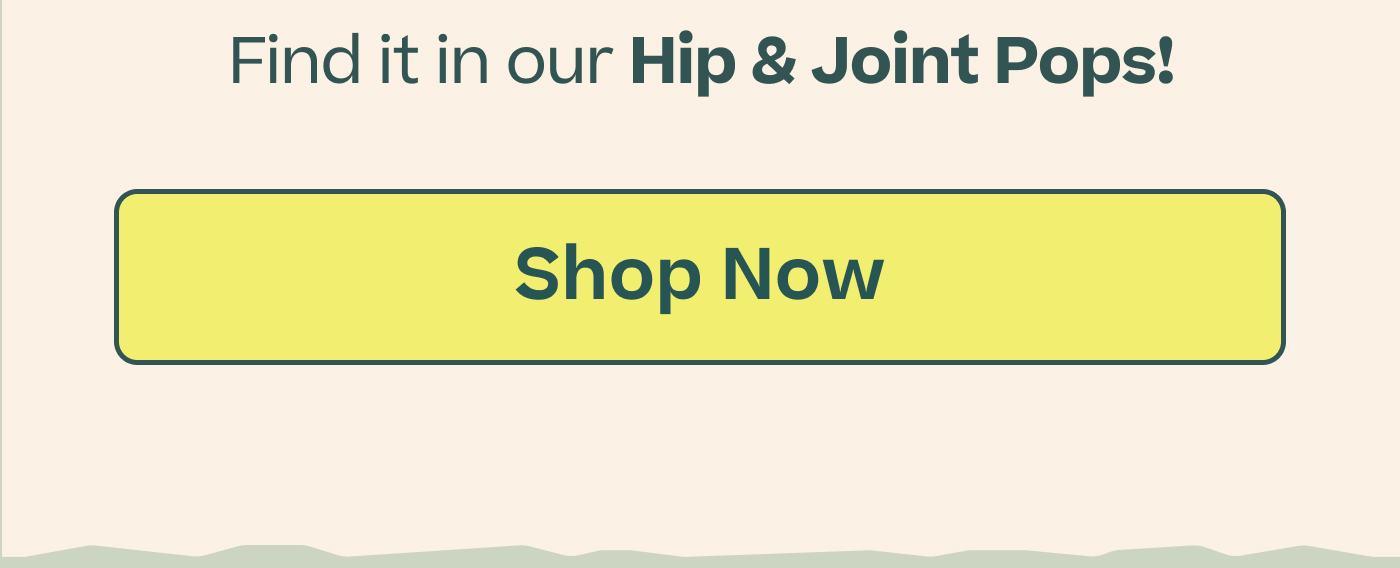 Find it in our Hip & Joint Pops!  |  Shop Now