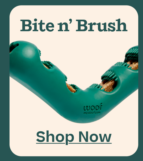 The Bite n' Brush | Shop Now