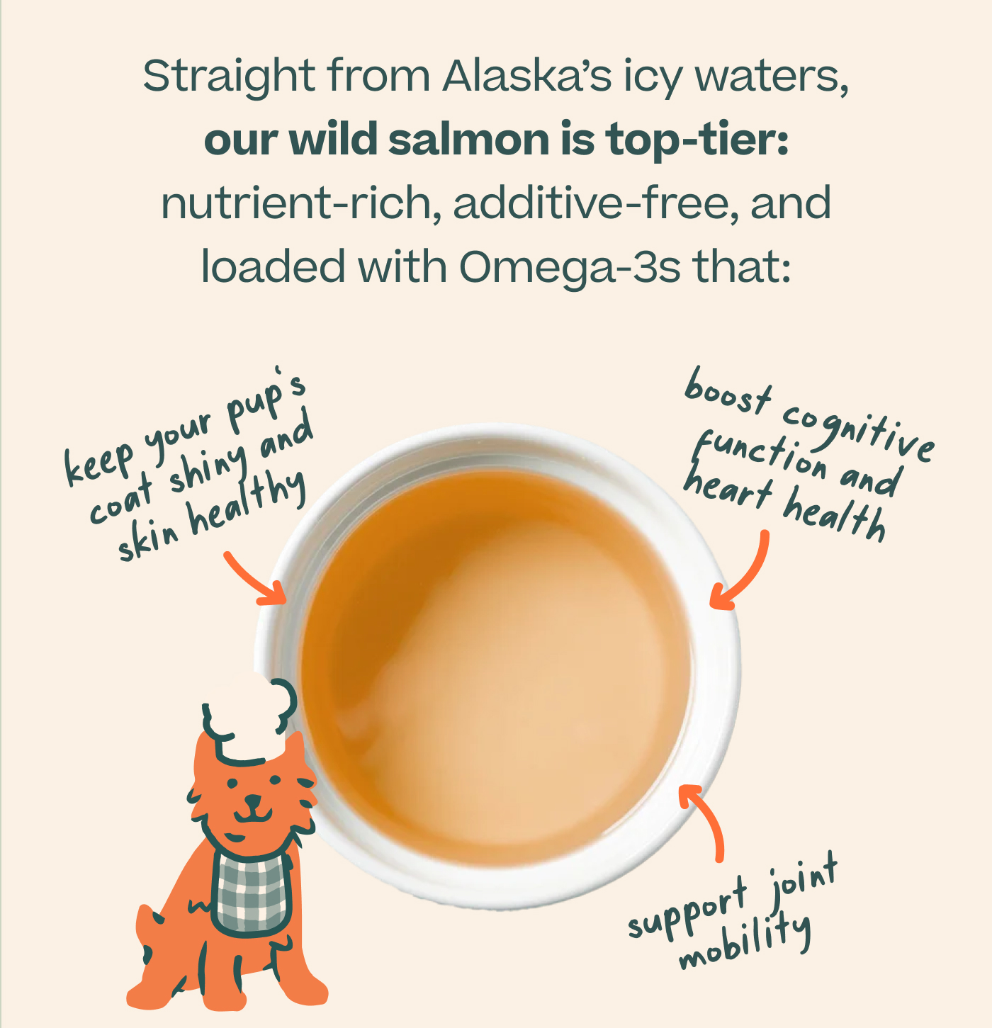 Straight from Alaska's icy waters, our wild salmon is top-tier: nutrient-rich, additive-free, and loaded with Omega-3s that: 1. Support joint mobility. 2. Boost cognitive function and heart health. 3. Keep your pup's coat shiny and skin healthy.