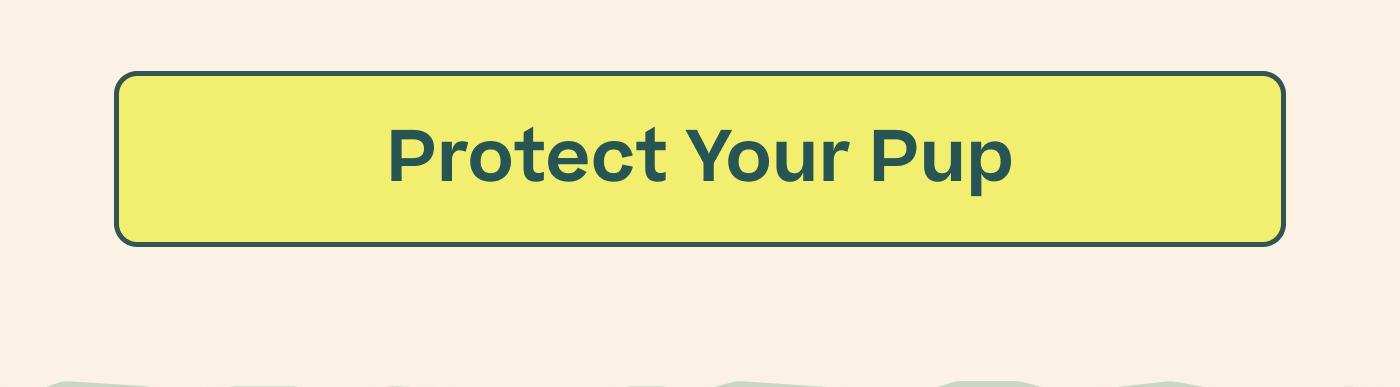 Protect Your Pup
