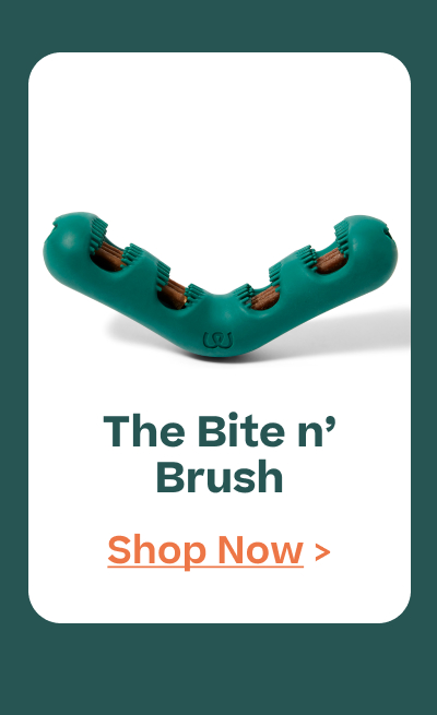 Woof | Bite n Brush - 15% Off