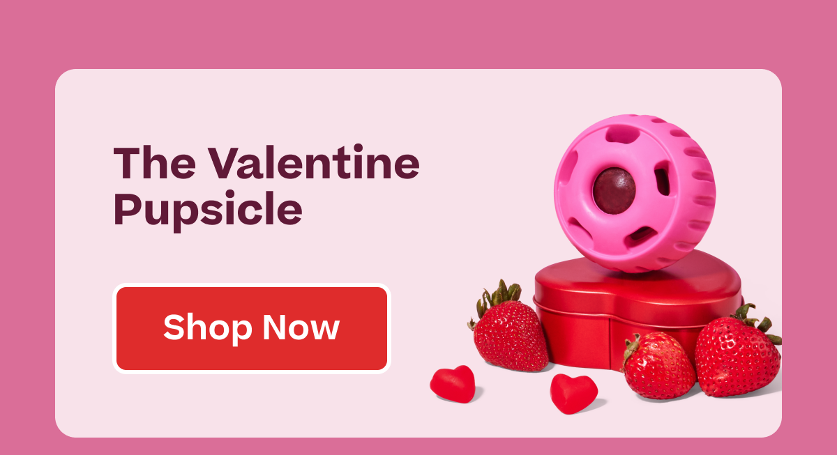 The Valentine Pupsicle | Shop Now