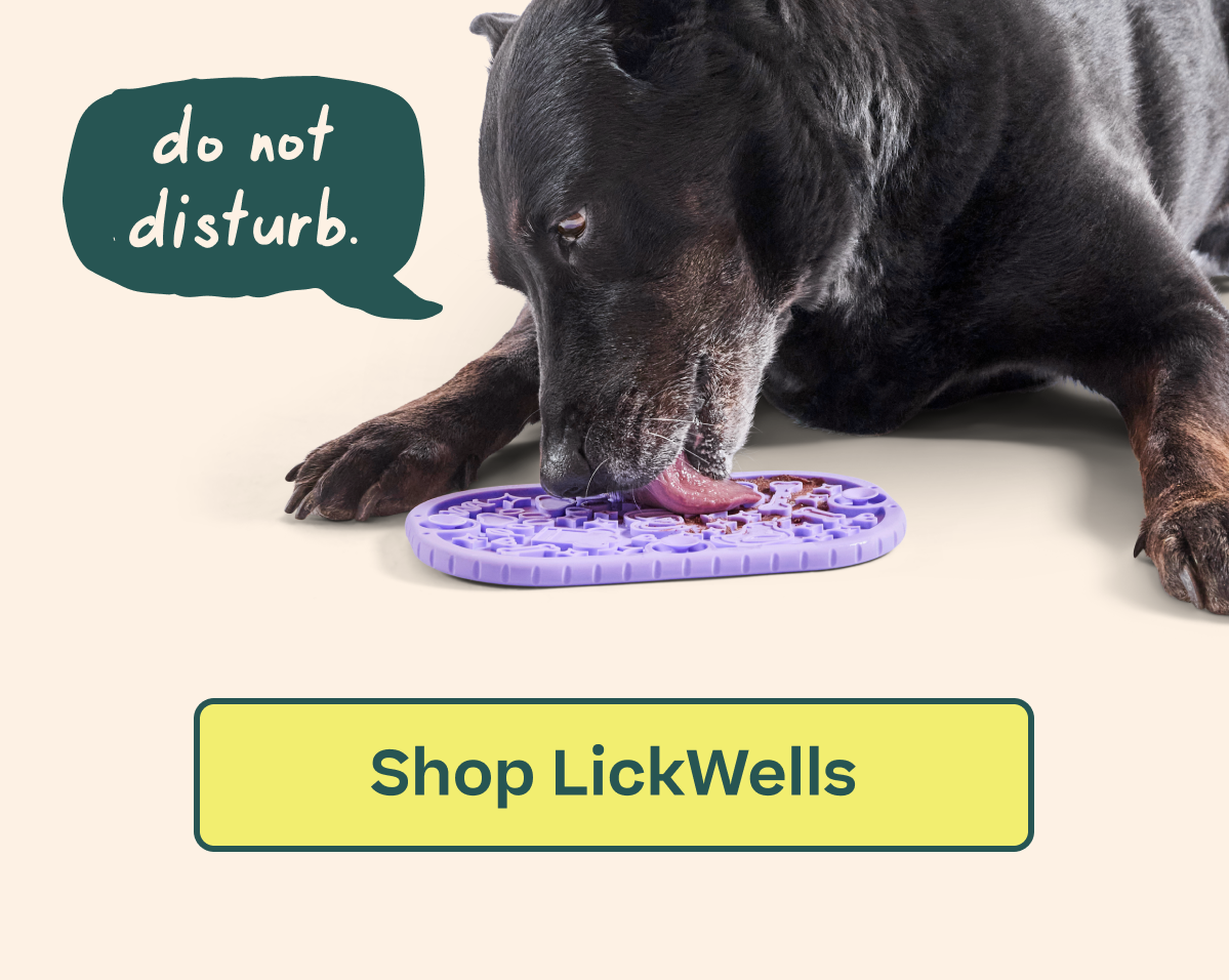 Shop LickWells 