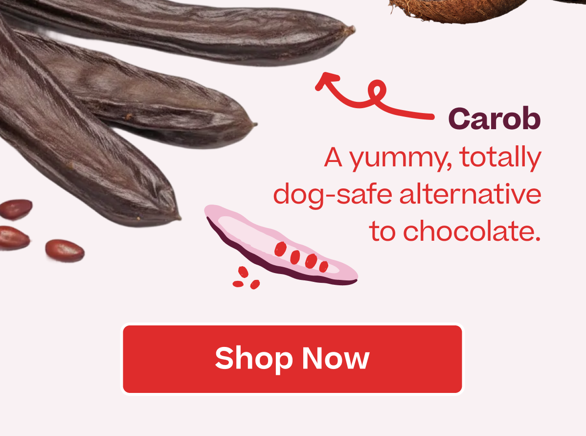 Carob A yummy, totally dog-safe alternative to chocolate. Shop Now