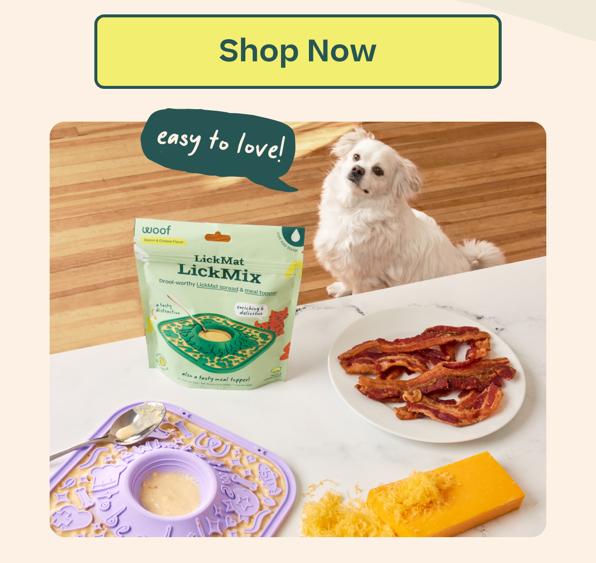 Shop Now "easy to love!"