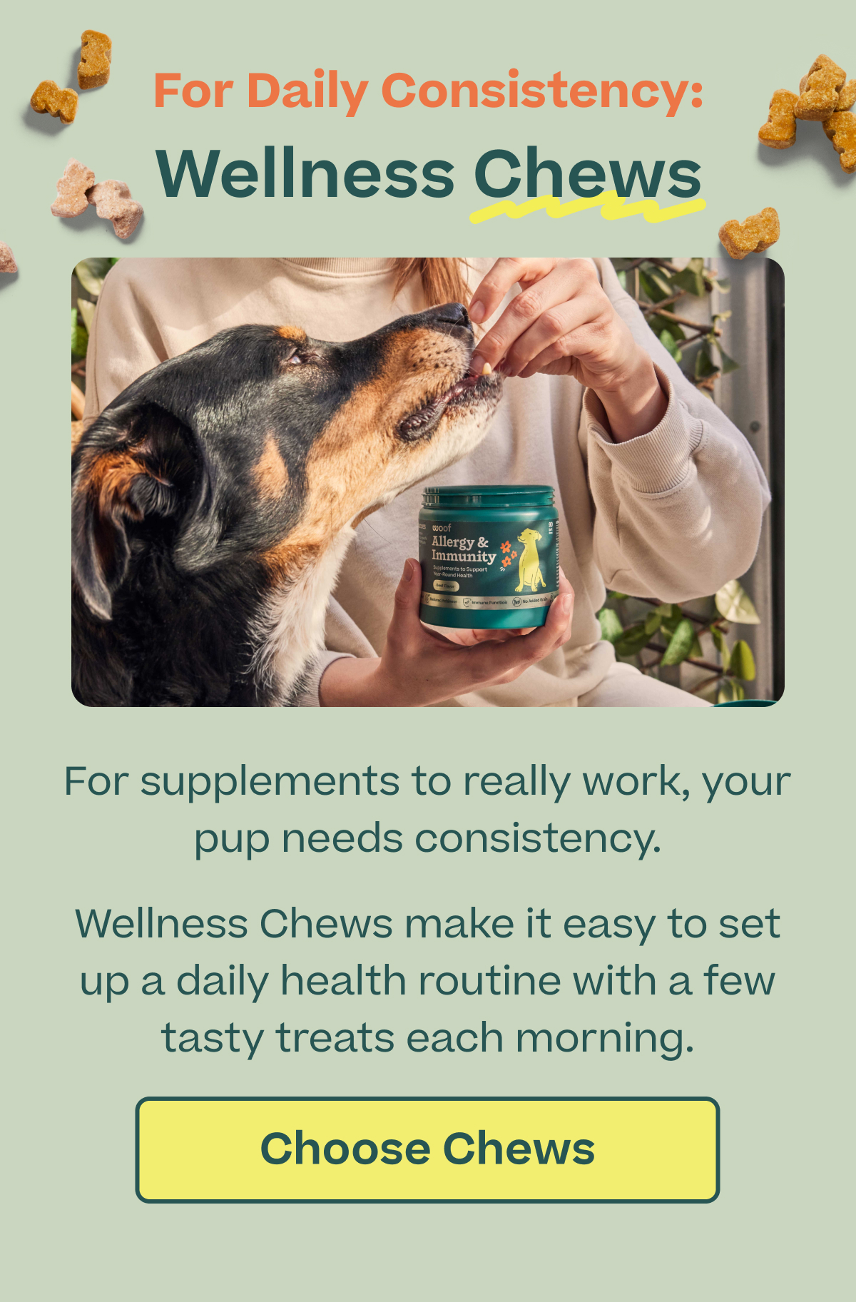 Woof | For Daily Consistency - Wellness Chews