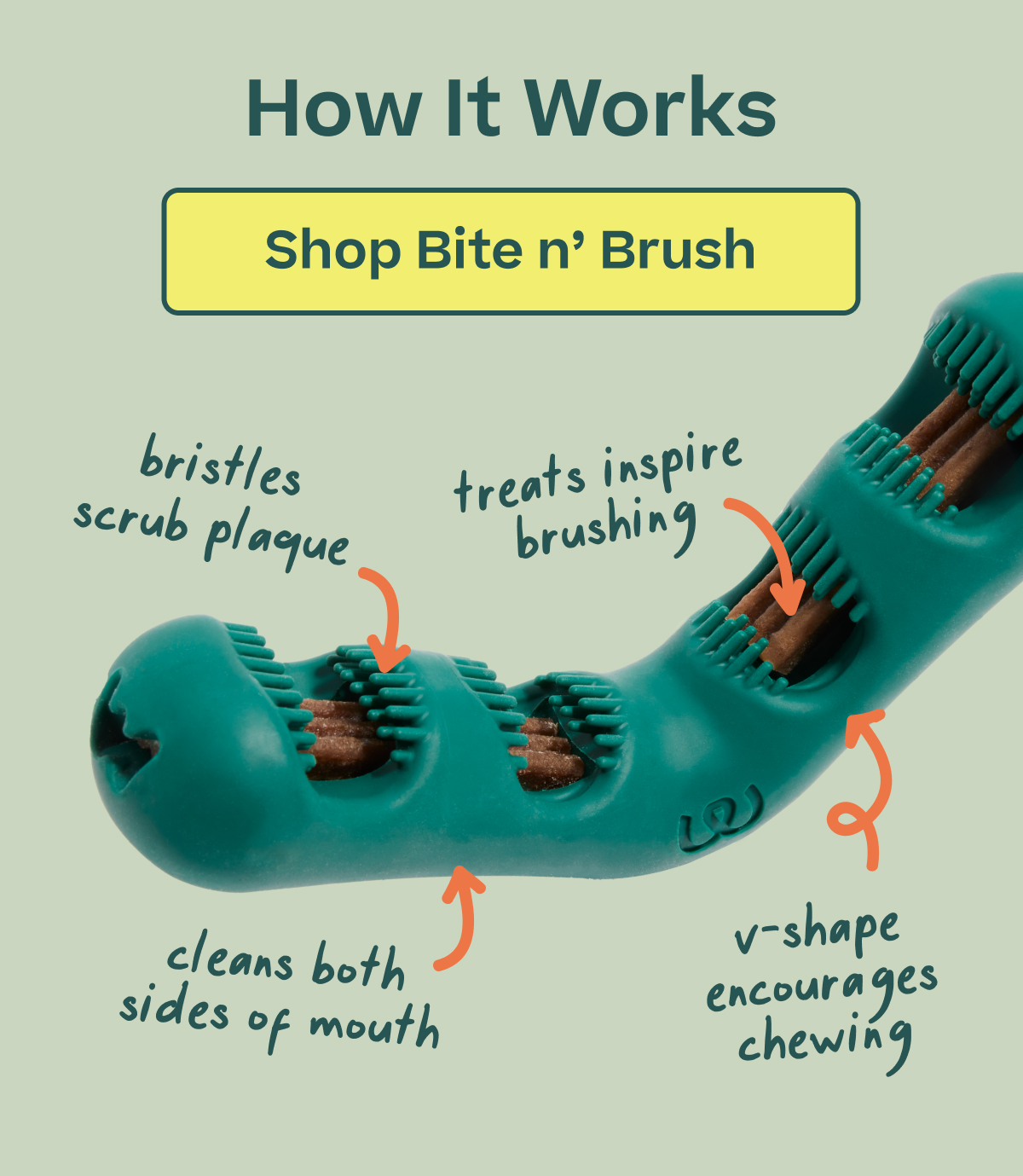 Woof | How Bite n' Brush Works