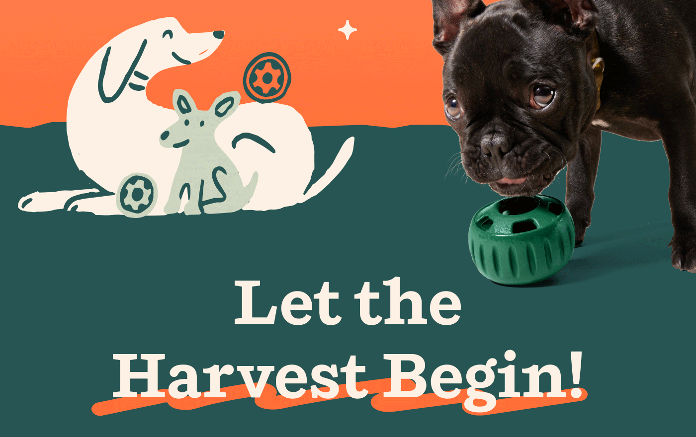 Let the Harvest Begin!