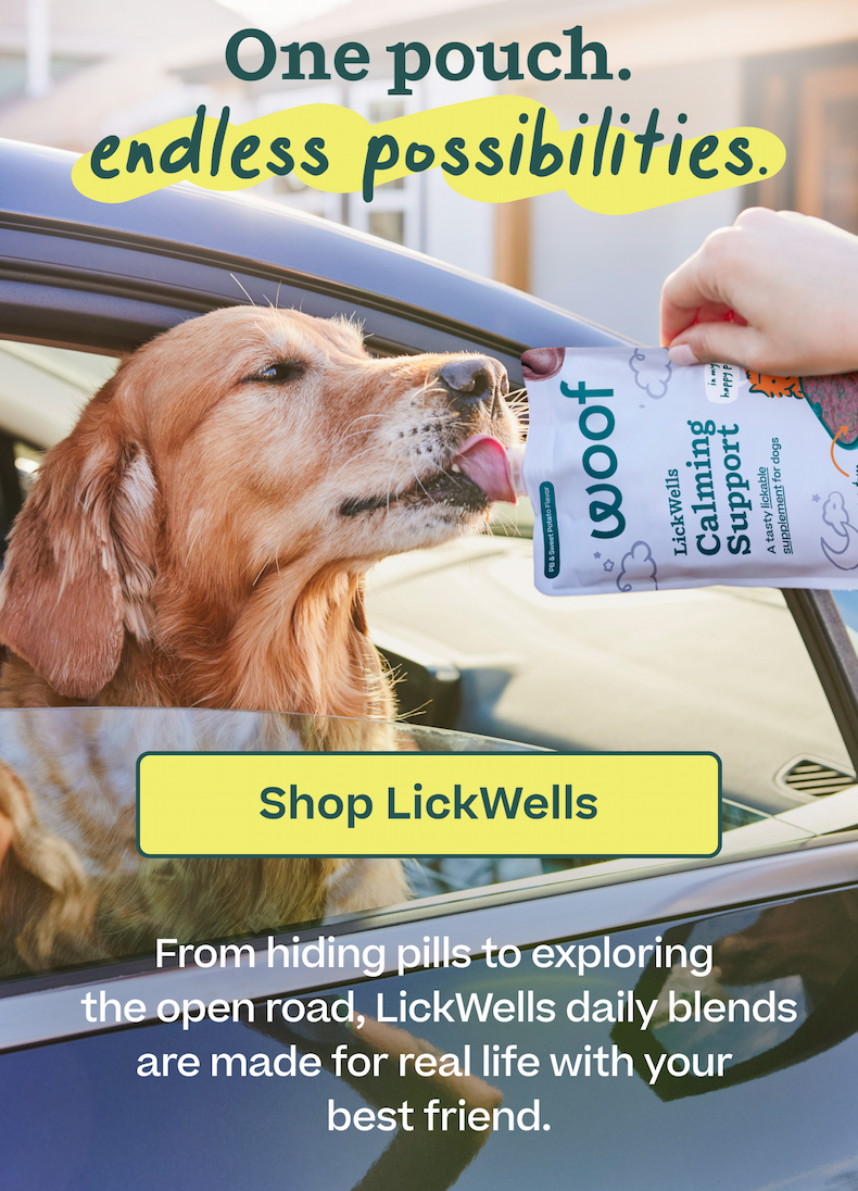 One pouch. Endless possibilities. From hiding pills to exploring the open road, LickWells daily blends are made for real life with your best friend. | Shop LickWells