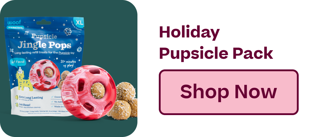 Holiday Pupsicle Pack | Shop Now