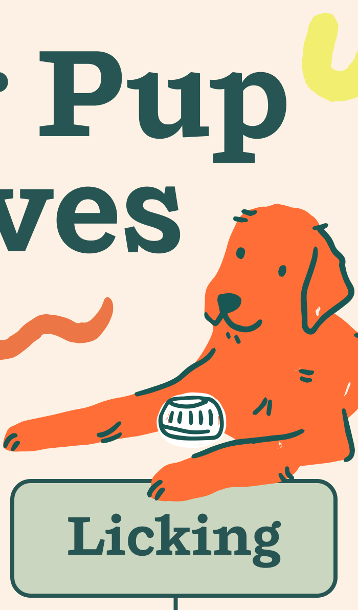 Your Pup Loves Licking