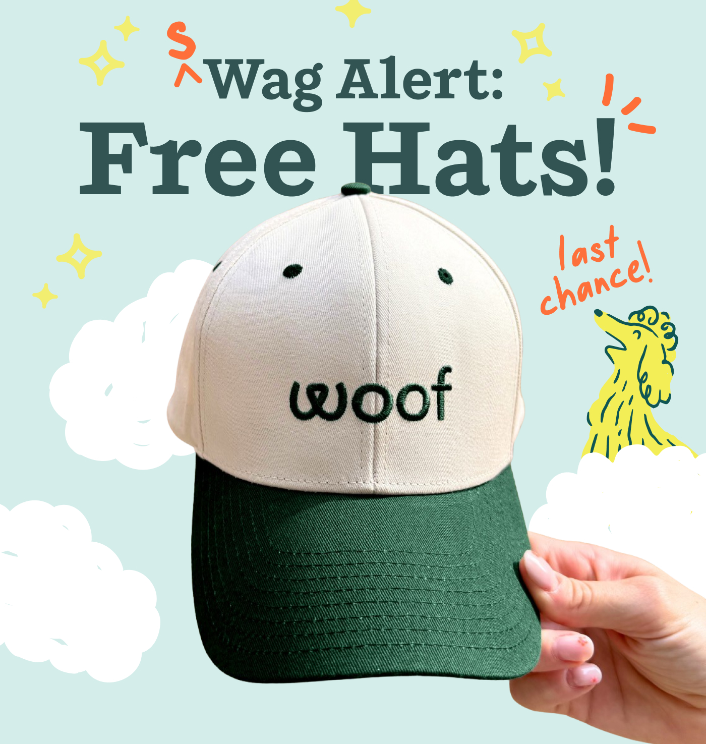 Swag Alert: FREE Hats  (Last Chance!)