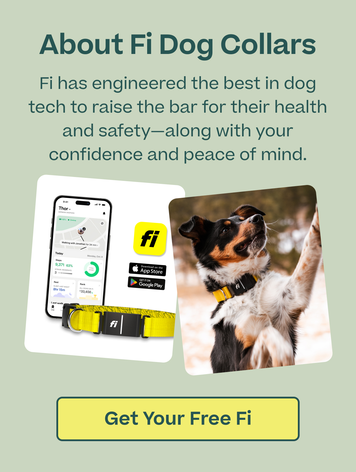 Woof x Fi | About Fi Dog Collars - Get Your Free Fi