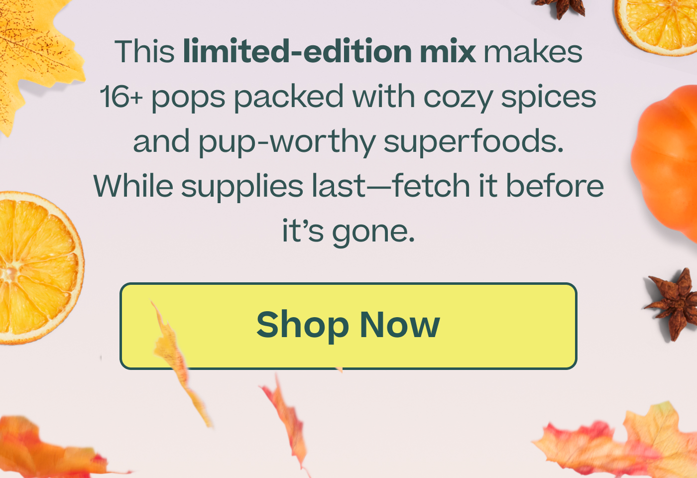 This limited-edition mix makes 16+ pops packed with cozy spices and pup-worthy superfoods. While supplies last—fetch it before it's gone.  |  Shop Now