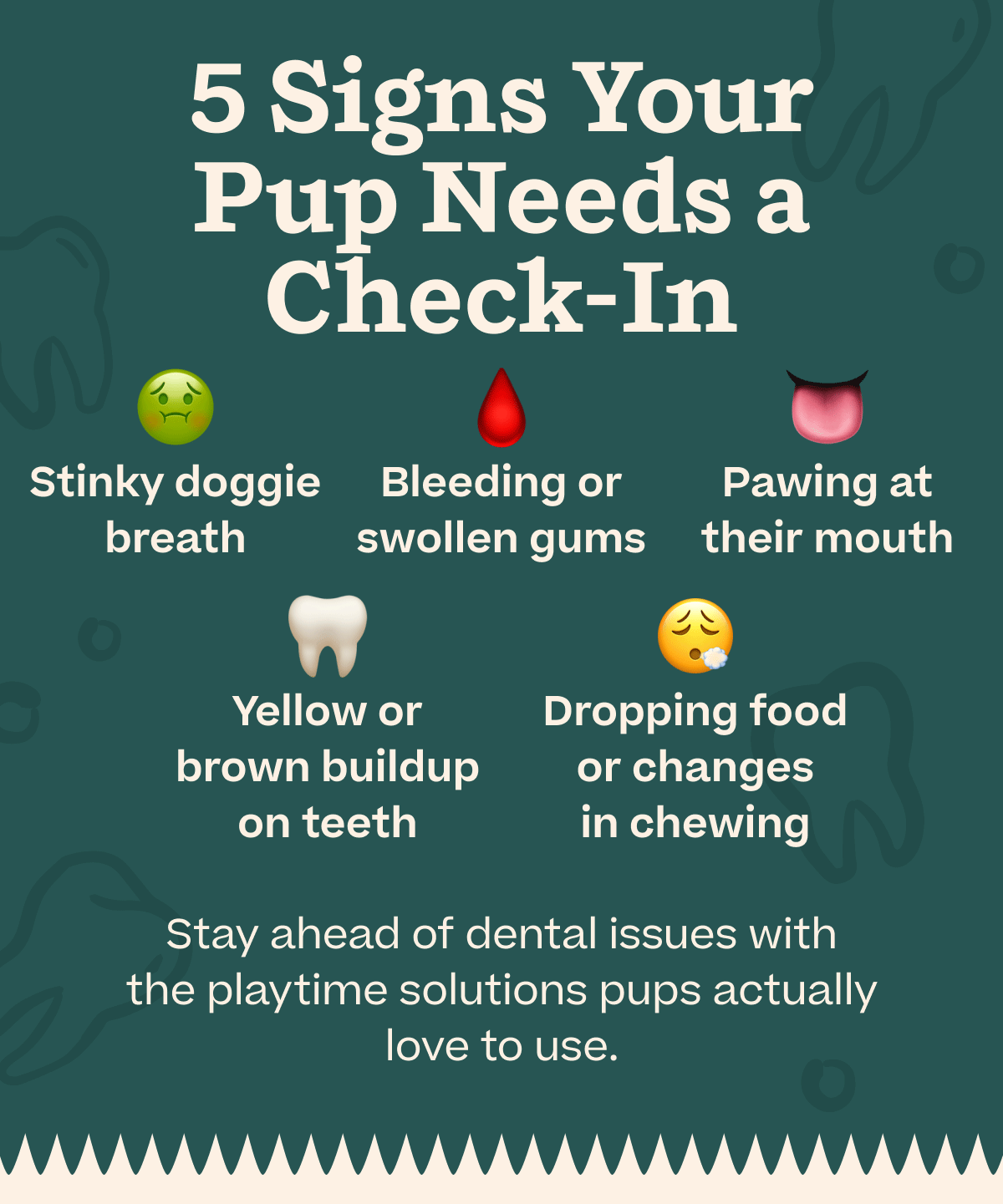 5 Signs Your Pup Needs a Check-In | Stinky doggie breath, Bleeding or swollen gums, Pawing at their mouth, Yellow or brown buildup on teeth, and Dropping food or changes in chwewing | Stay ahead of dental issues with the playtime solutions pups actually love to use.