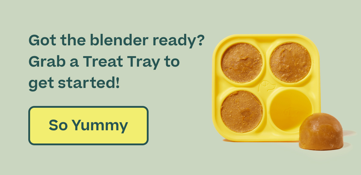 Woof | The Pupsicle Treat Tray