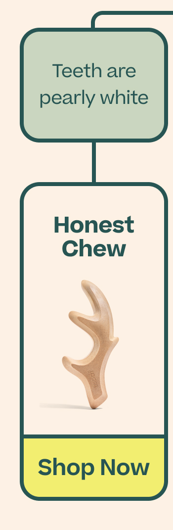 Teeth are pearly white: HonestChew
