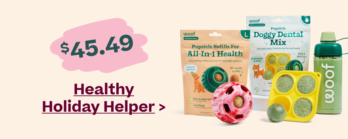 Healthy Holiday Helper