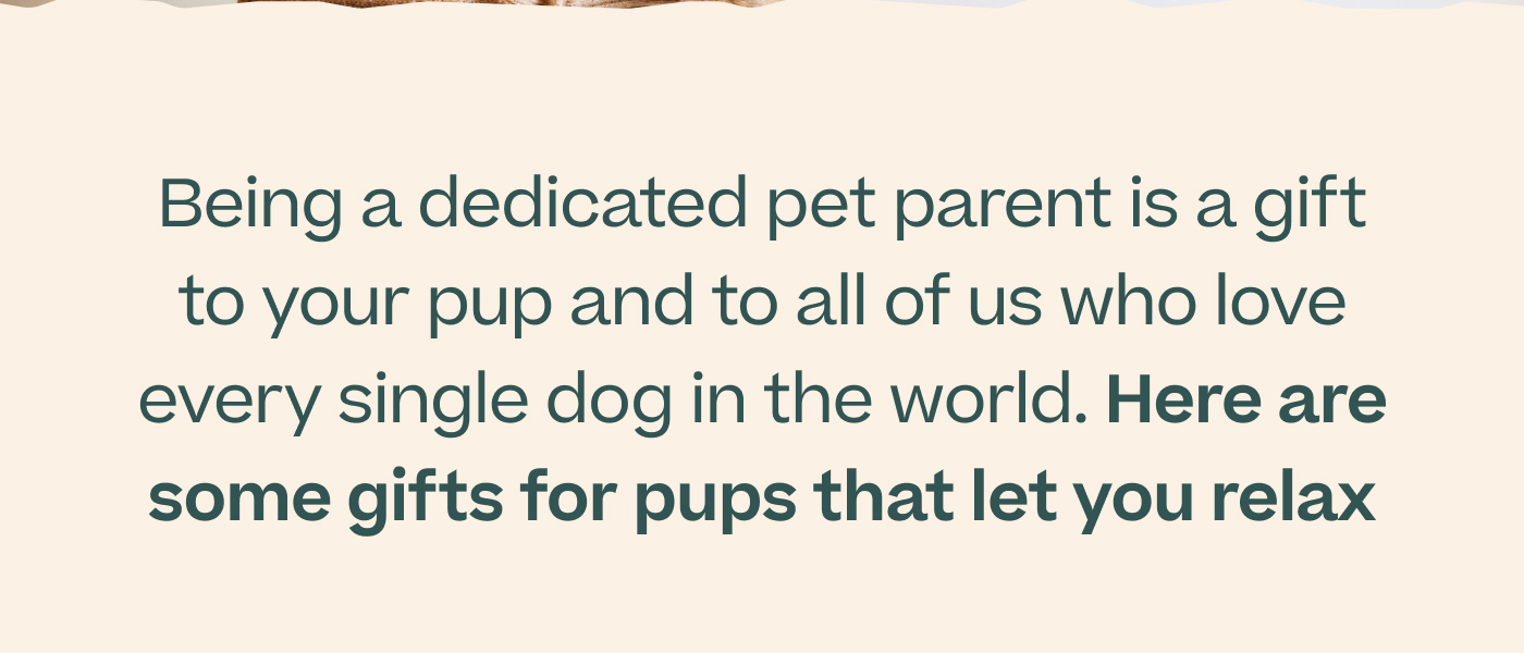 Being a dedicated pet parent is a gift to your pup and to all of us who love every single dog in the world. Here are some gifts for pup that let you relax
