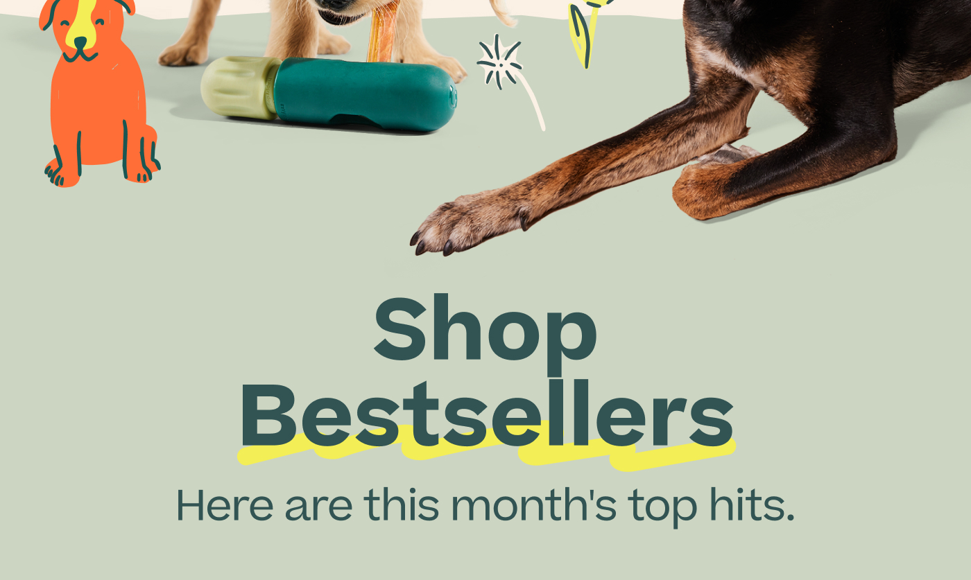 Shop Bestsellers! Here are this month's top hits. 