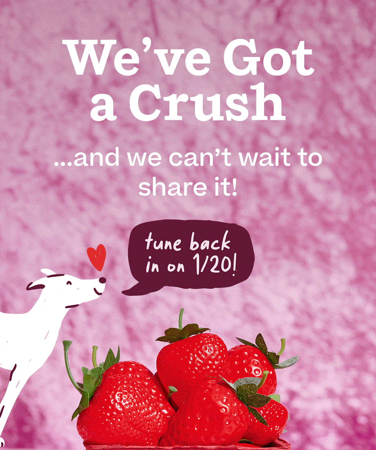 We've Got a Crush! and we can't wait to share it! Tune back in on 1/20!