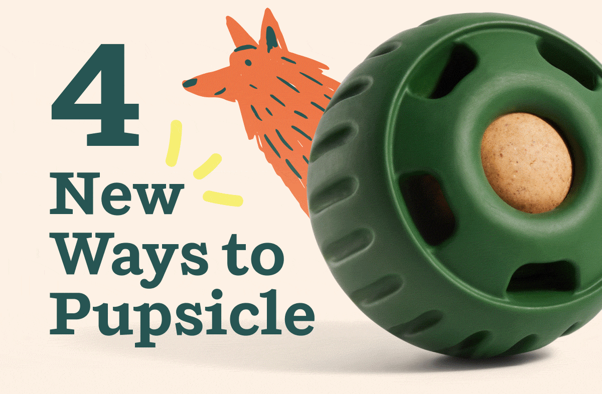 Woof | 4 New Ways to Pupsicle