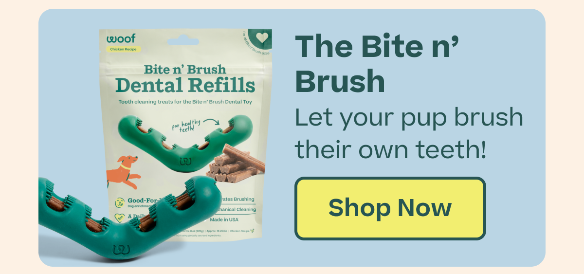 Shop Bite n' Brush
