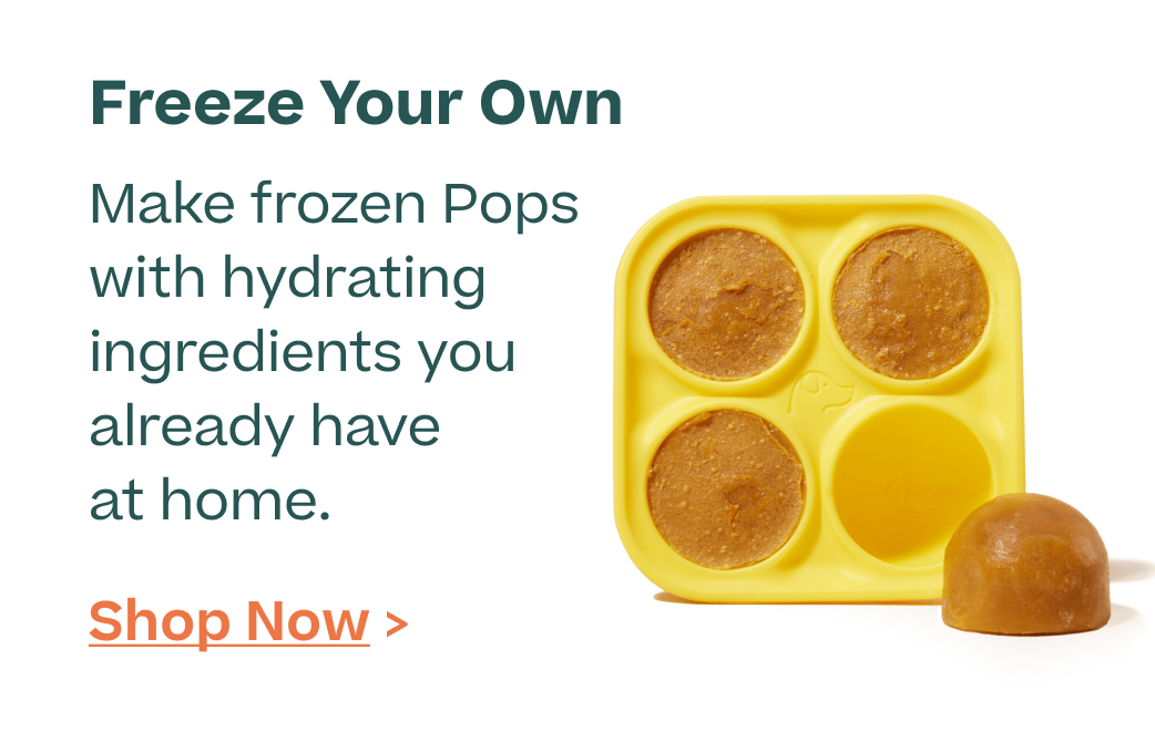 Woof | Cool Off - Freeze Your Own - Treat Tray