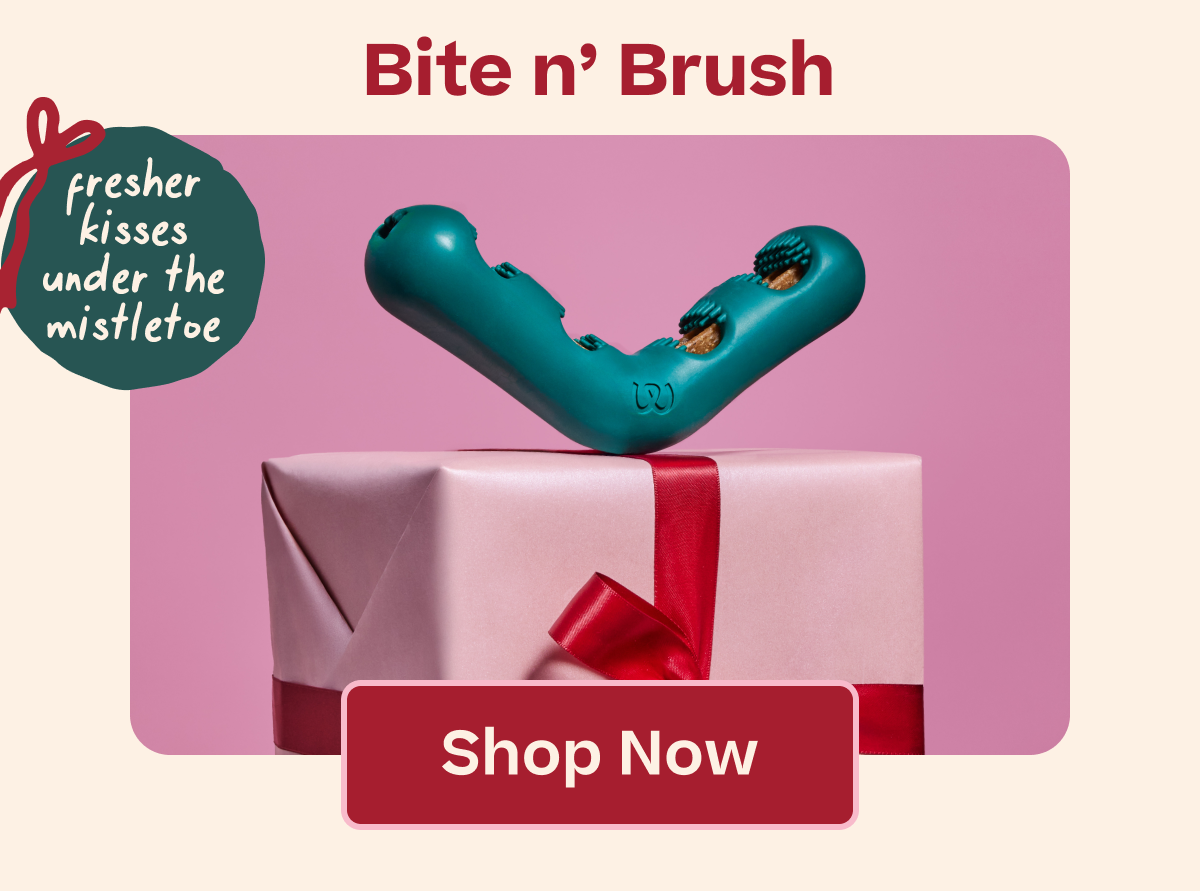 Bite n Brush | Shop Now