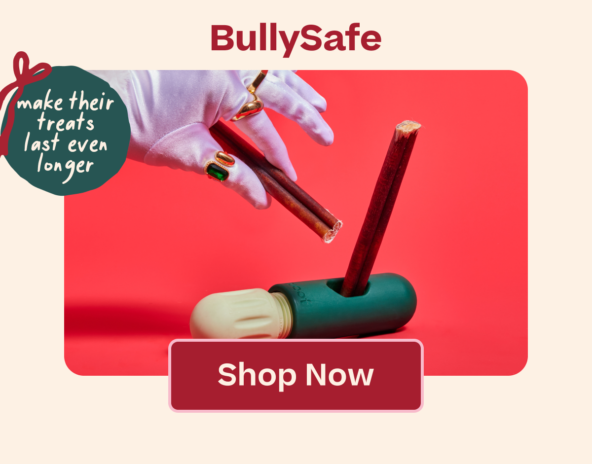 BullySafe | Shop Now