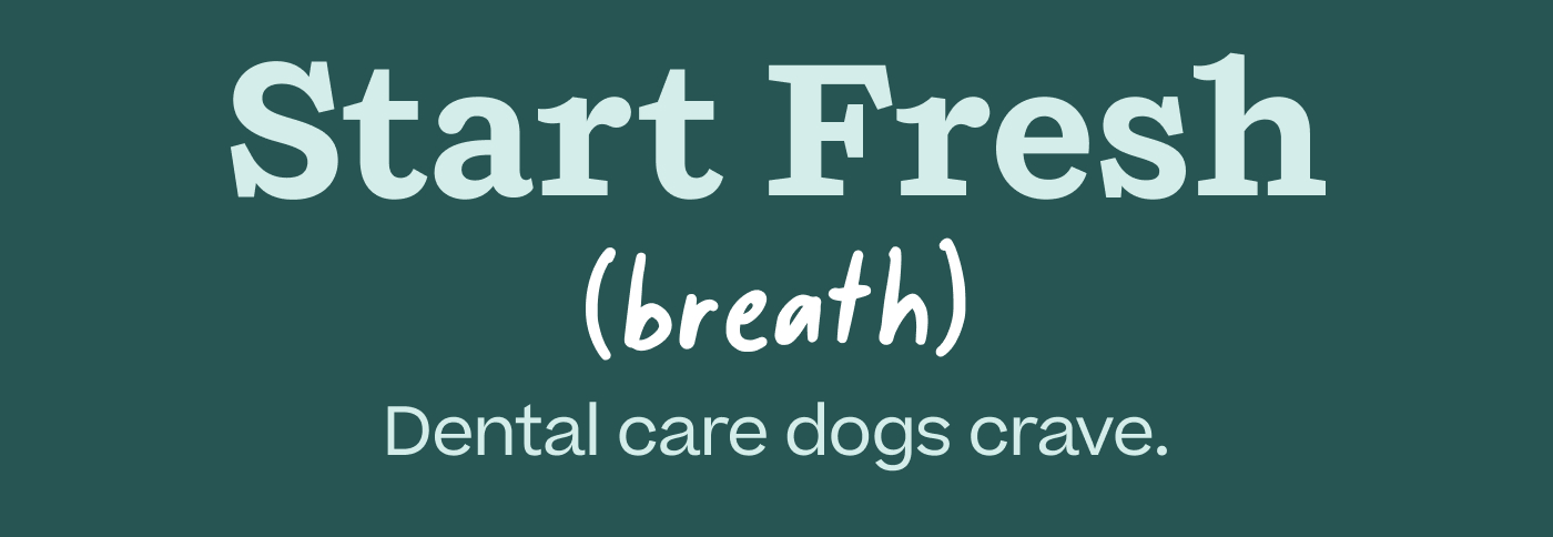 Start Fresh (Breath) Dental care dogs crave.