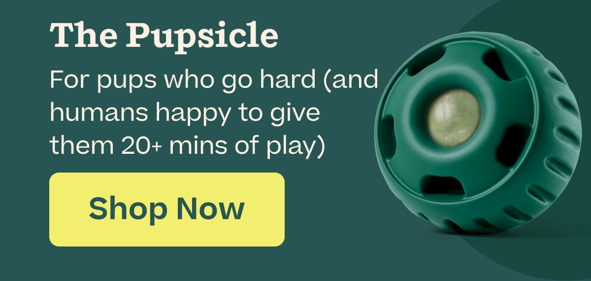 The Pupsicle | Shop Now