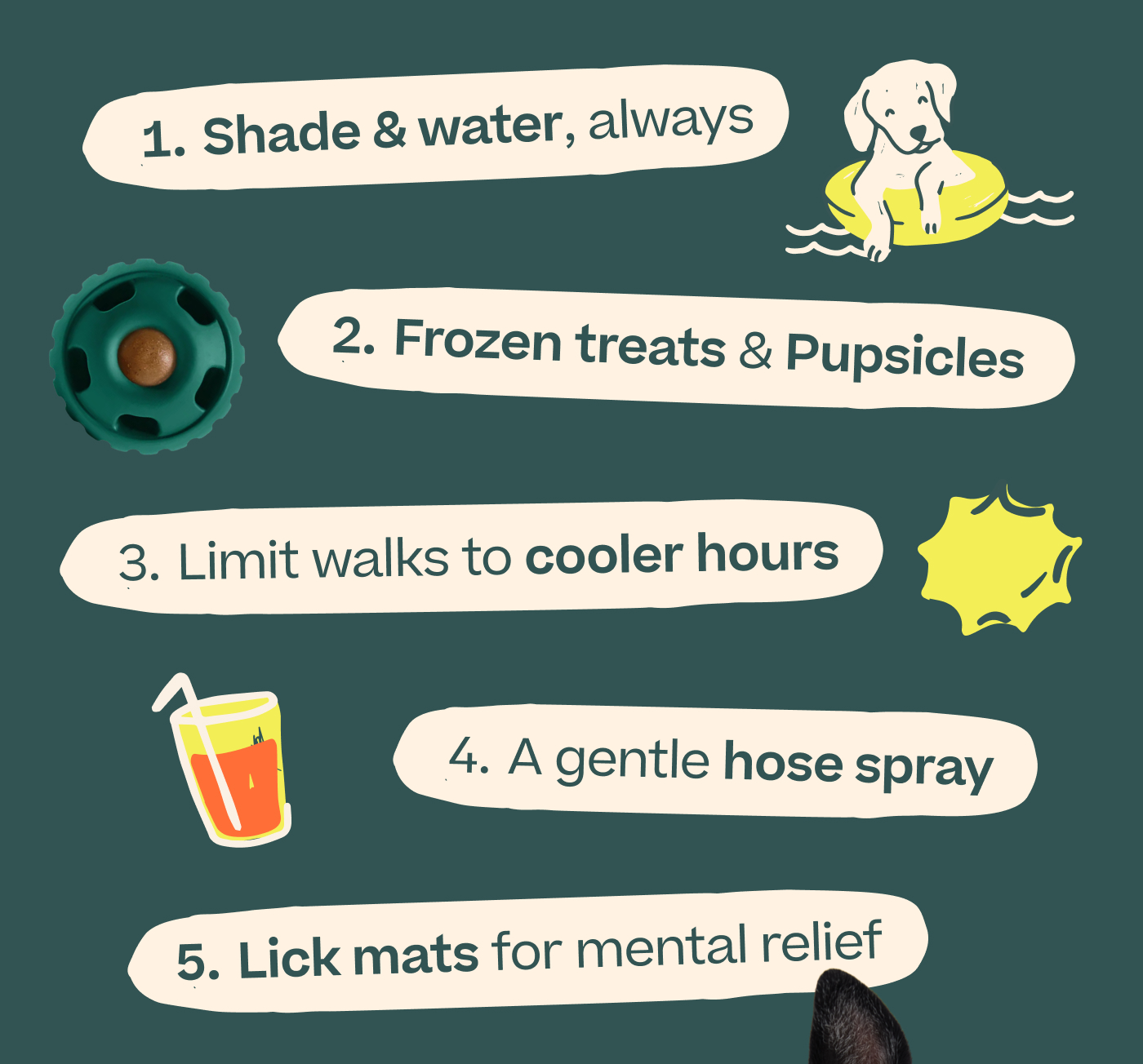 1. Shade & water, always  2. Frozen treats & Pupsicles 3. Limit walks to cooler hours 4. A gentle hose spray 5. Lick mats for mental relief
