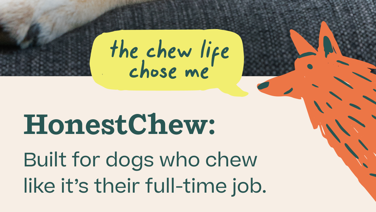 "the chew life chose me"  HonestChew: Built for dogs who chew like it's their full-time job.