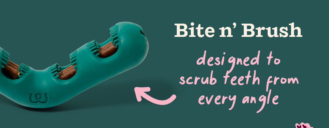 The Bite n' Brush: Designed to scrub teeth from every angle