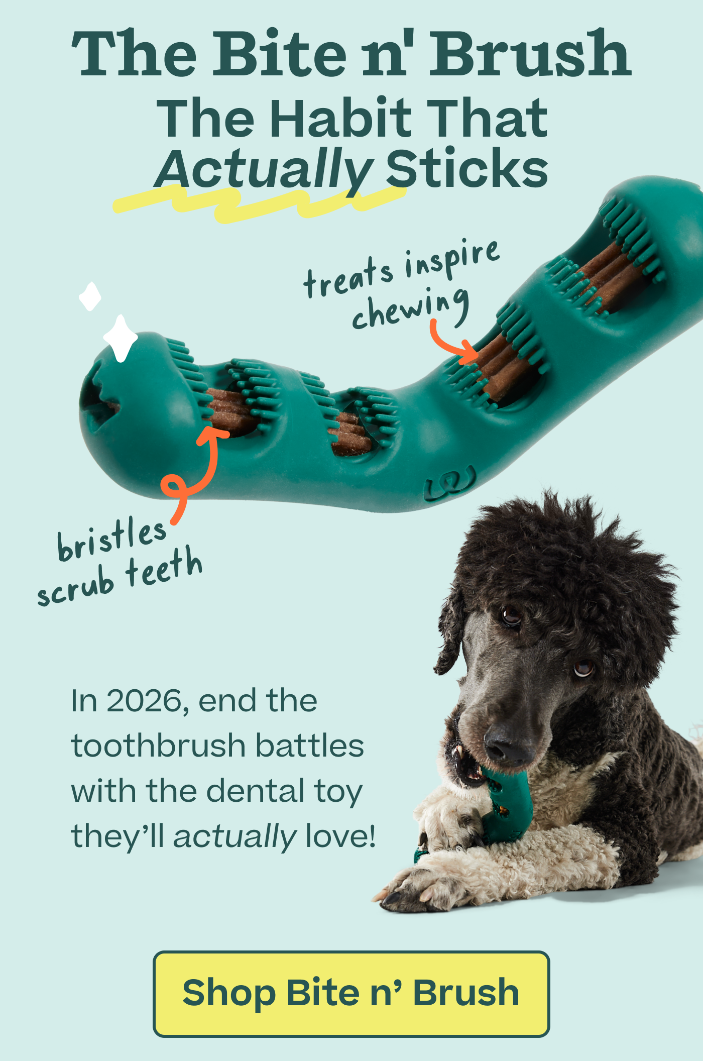 The Bite n' Brush - The Habit That Actually Sticks | Shop Bite n' Brush