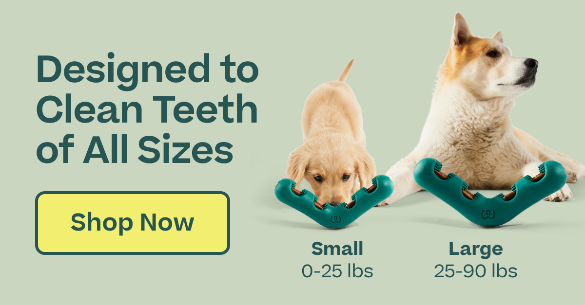 Woof | Designed to clean teeth of all sizes